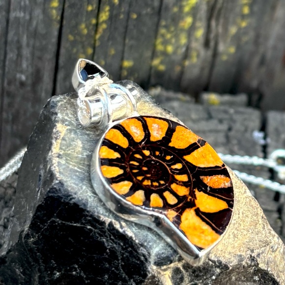 Ammonite & Onyx Necklace - Picture 9 of 13